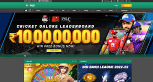 baji-online-gambling-enterprise-6_2.jpeg